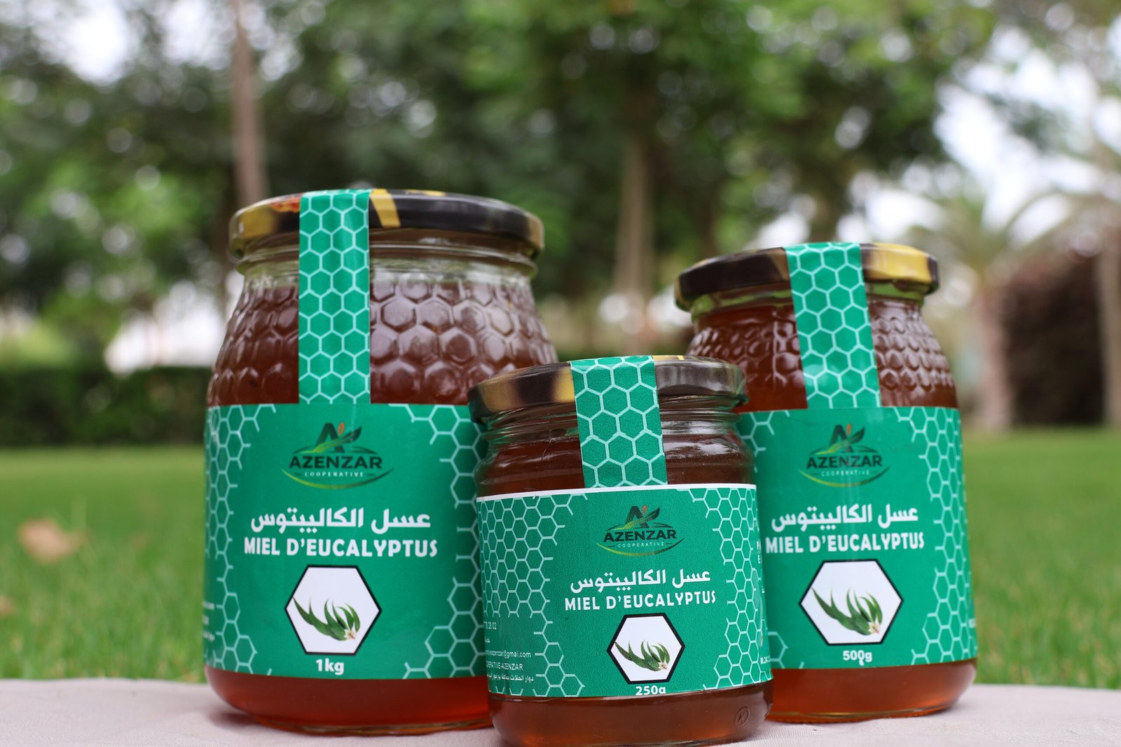عسل الكالبتوس