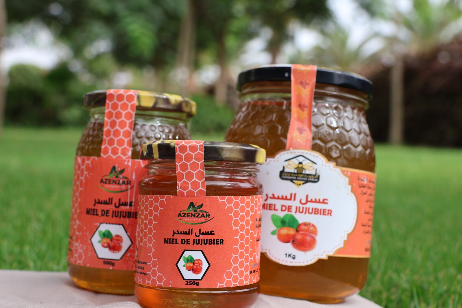 عسل السدر